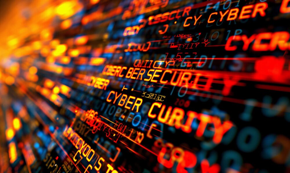 Security & Safety Consulting - Full Day / ~8 Hours